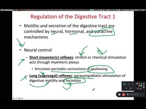 BIOL 314 Regulation of Digestion (Ch 25 Part 3)