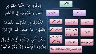 شرح النظم الصغير من مختصر التحرير في أصول الفقه 20 - عامر بهجت image