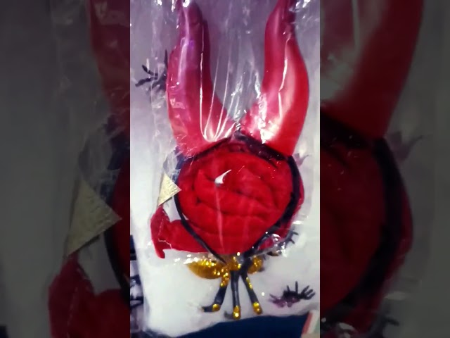 Vídeo relacionado con LessMo 240g Halloween Tela Araña, Telaraña Blanca Decor con 30 Arañas Falsas Adicionales, Gran Tamaño Cubierta1000 Pies Cuadrados, Súper Elásticas Telarañas Accesorios de Casa Embrujada En Halloween