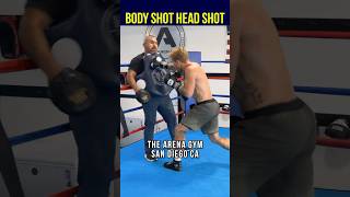 Body Boxing Cover demonstration thumbnail