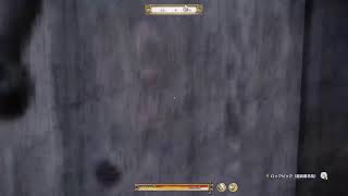[PS4]キングダムカム・デリバランス#11