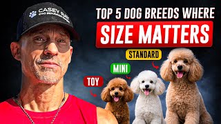 Top 5 Dog Breeds Where Size Matters