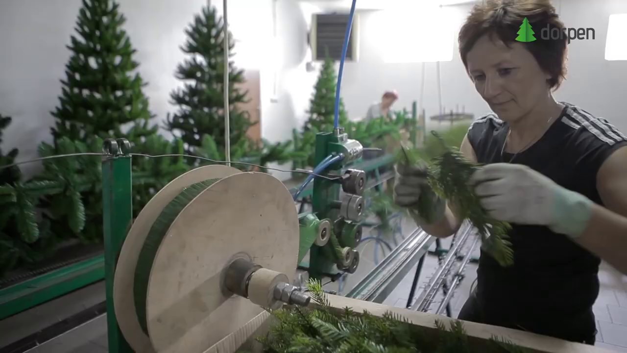 Jak powstają nasze choinki