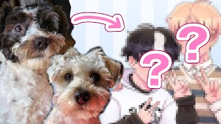 TURNING PETS INTO HUMANS!!! 🐶🐰🐶
