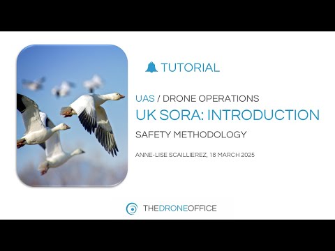 UK SORA methodology: Tutorial