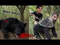 Junglee Janwar Ko Mar Dala Or Javed Ko Bacha Lea