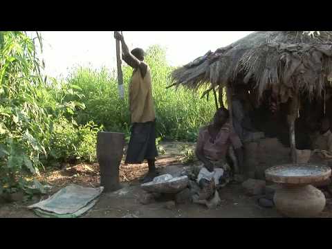 download lagu mp3 mp4 Ostrich People, download mp3 Ostrich People free download, download mp3 Ostrich People