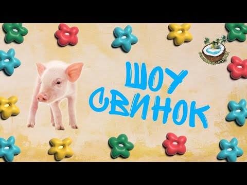 🐽Свиньи из Тайланда🐷🐖