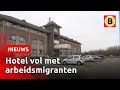 Arbeidsmigranten willen eigen verblijfplaats kunnen regelen | Omroep Brabant
