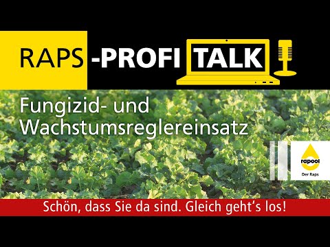 Raps-Profi-Talk 2022: Fungizid- und Wachstumsreglereinsatz