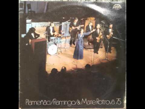 Plameňáci & Marie Rottrová - Čas motýlů