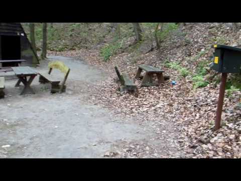 Stempelstelle 82 Regensteinmühle - Harzer Wandernadel