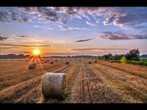 Dj Zoka Slavonski mix vol 3