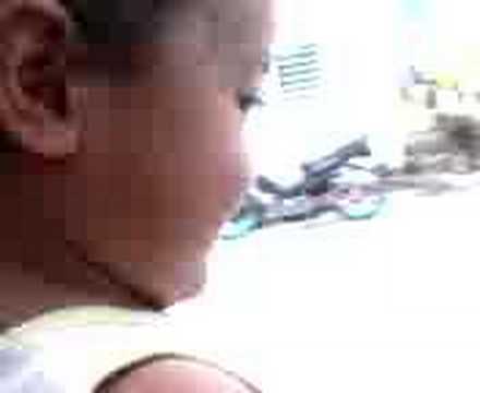 zakee - funny cat! part 2