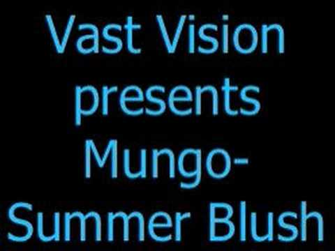 Vast Vision pres. Mungo - Summer Blush (Aly & Fila Remix)