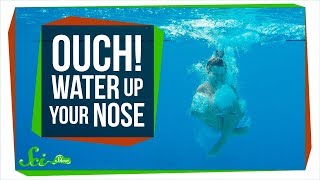 Why Does Getting Water Up Your Nose Hurt So Much?