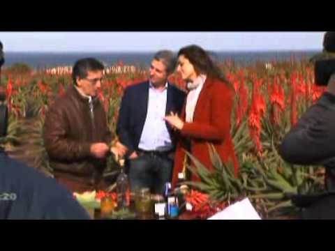 IL PUCINO - Backstage Linea Verde