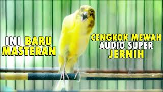 Download lagu Ini baru masteran KENARI cengkok mewah, bikin kenari PAUD dan BAHAN cepat gacor dan juara - AUDIO mp3 Download lagu Ini baru masteran KENARI cengkok mewah, bikin kenari PAUD dan BAHAN cepat gacor dan juara - AUDIO mp3
