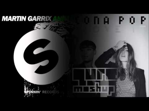 Martin Garrix feat. Icona Pop - I Love Animals (Qure Mashup)