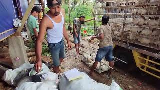 Download lagu #part1 SAMUDRO ‼️ SEPESIAL GIMON AMAN ‼️MR DOBLEH, NGAPAK ‼️PANEN AYAM ‼️ ENDI GLINGGANGAN PRINGKUKU mp3