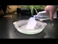 supercooled water 