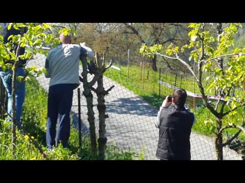 32° rally delle Prealpi Orobiche 1° parte Bagnella