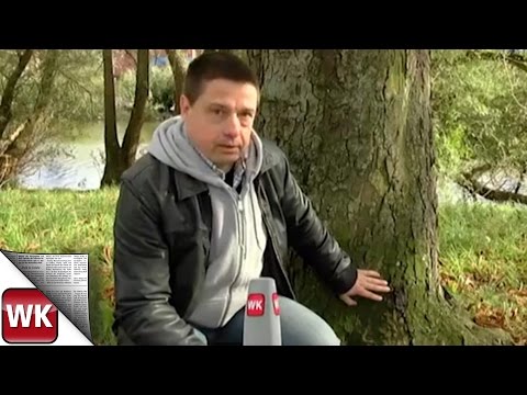 Kostheim: Begehung an Maaraue