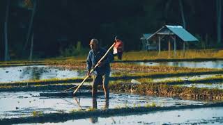 Download lagu story' wa petani sawah mp3