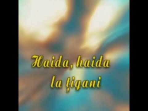 Alexandru Lozanciuc-Haida,haida la ţigani