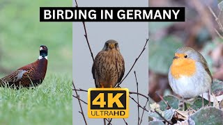 Vogelbeobachtung in Deutschland