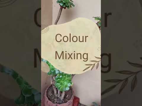 Color Mixing | White + Yellow + Brown = Cream Color | Paint mixing #shorts