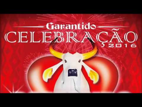 Macacos Vermelhos video