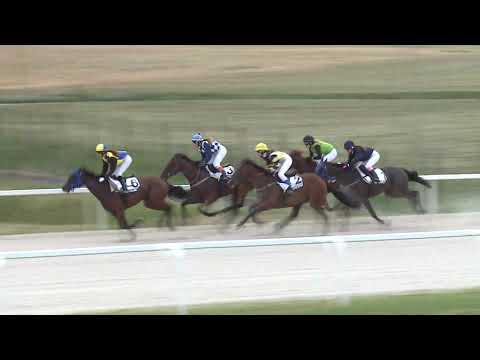 2020.08.09. 06. futam - AMATŐRVERSENY HENDIKEP (V.o.) (szintetikus pálya)