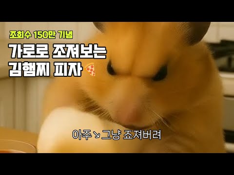 그저 가로로 보는 피자햄찌 (같은내용 주의!)