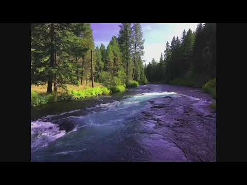 John Bergquist Memorial - YouTube