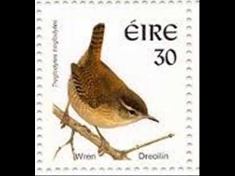 The Wren Song ( An Dreoilín ).wmv