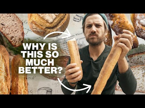 How The U.S. Ruined Bread