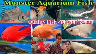 Aquarium Fish Shop Khardaha | Aquarium Fish Price | Monster Aquarium Fish Shop | Aquarium Fish 