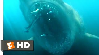 Video trailer för Shark Cage vs. Megalodon Scene