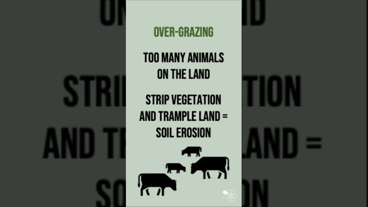 Farming and Desertification | 60 Second Geography on Hot Deserts