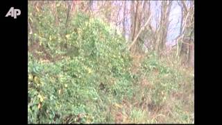Cattle Farm Ad on Craigslist Leads to Shooting