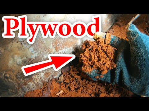 Ep. 3: Disintegrating plywood & 4-year-old meat - Refitting Reverie