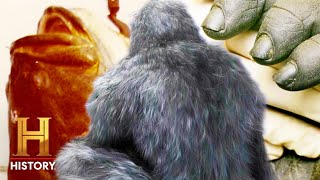 Killer Fish, Snow Beasts & the Monkey Man Curse *Marathon* | MonsterQuest | History