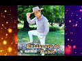 EL LLANERO DE ÑUBLE MIX 2021 🔥 DJ MARTINEXX 🔥