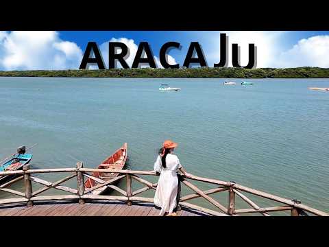 Aracaju Sergipe: What to Do in the Most Charming Capital of the Northeast!