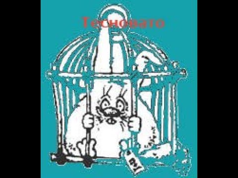 Стало тесно,переселение кроликов.