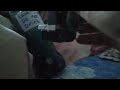 The Lava Lamp That Is Blue Thx For 300 Views On 2 Videos And 65 Subs