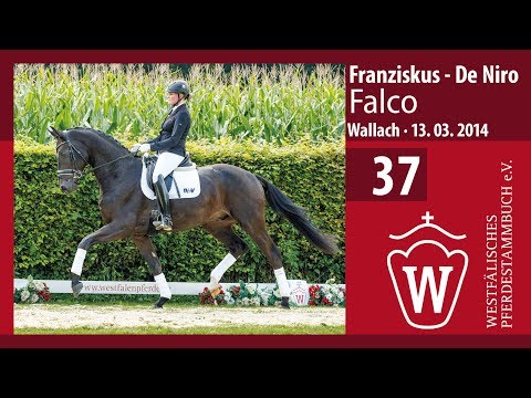 37 Falco Wallch v. Franziskus - De Niro