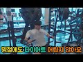맛있는거 다 먹으면서 살빼는 법ㅣ고양이목욕 l 머신운동 [다이어트의 신2]