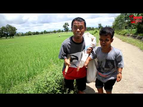sarip-ribut-di-lempar-ke-tengah-sawah-gara-gara-ela-komedi-lucu